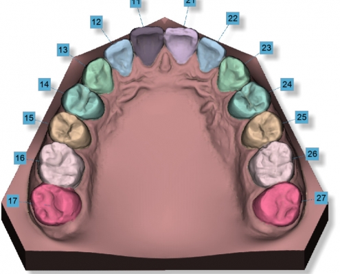maestro3d.dental.studio.automatic.teeth.segmentation